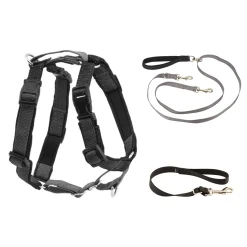 3 in 1 Harness with Two Point Control Leash-PetSafe Cheap