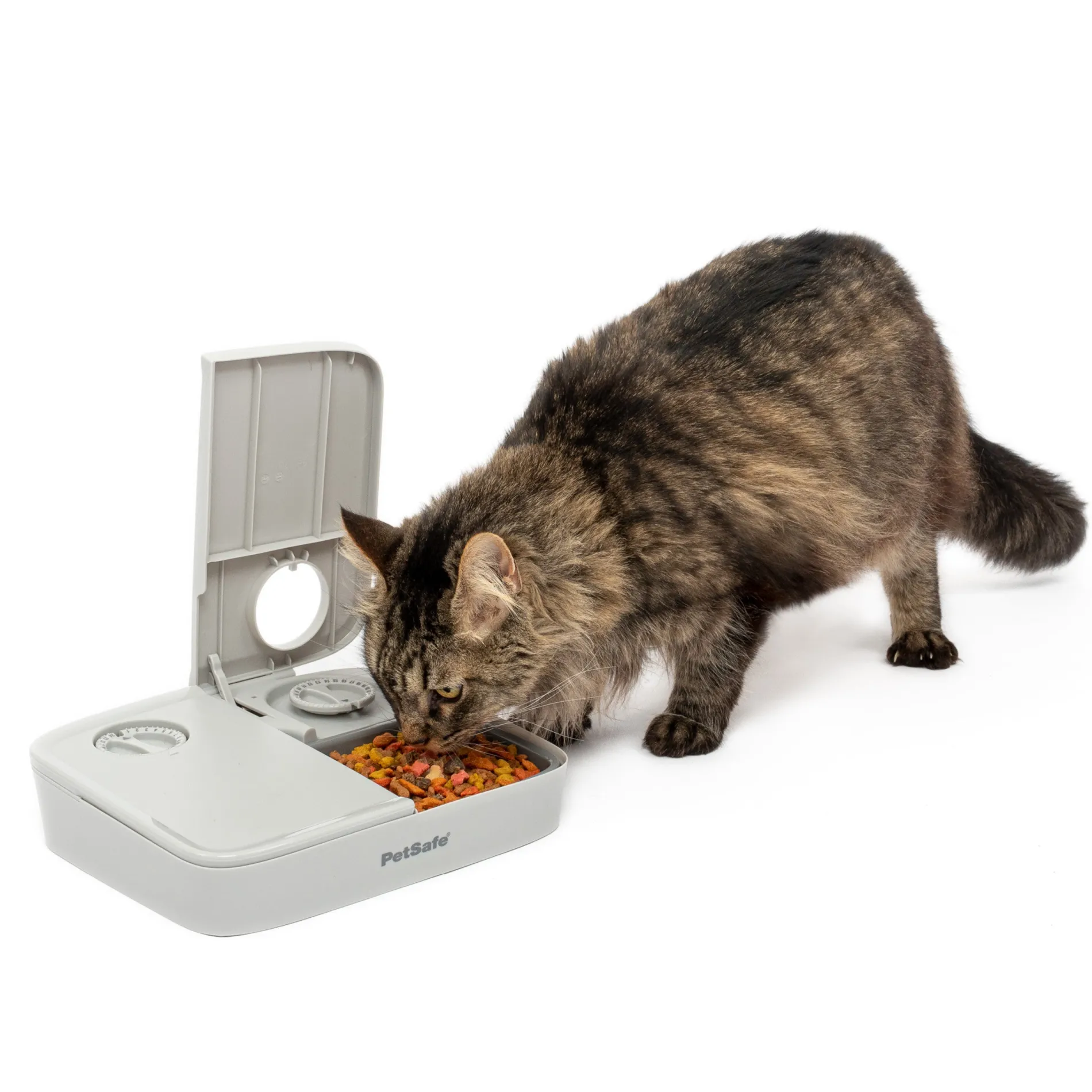 Automatic 2 Meal Pet Feeder-PetSafe Shop
