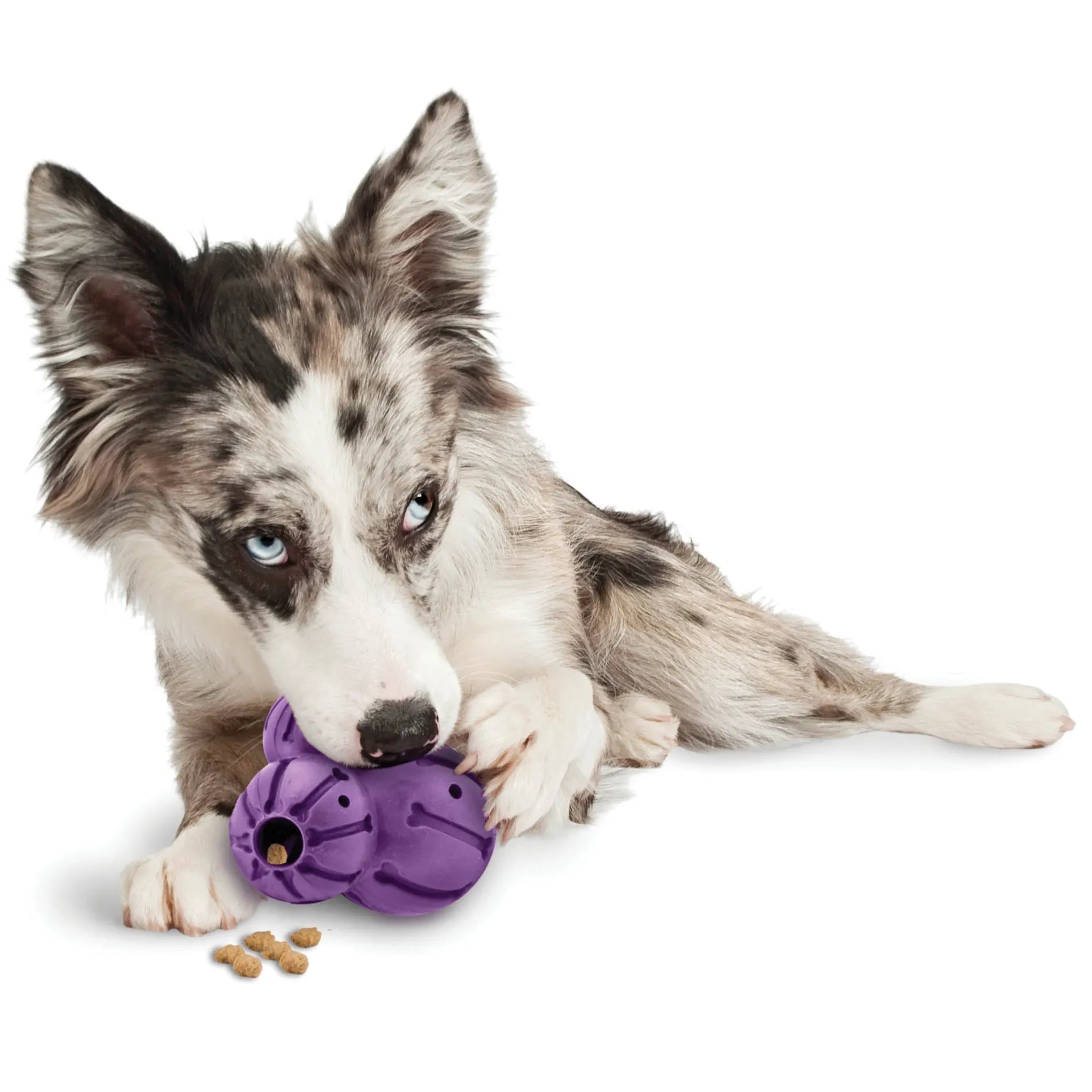 Busy Buddy® Barnacle-PetSafe Sale
