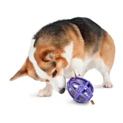 Busy Buddy® Kibble Nibble™-PetSafe Store