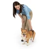 CareLift™ Rear Support Harness-PetSafe Sale