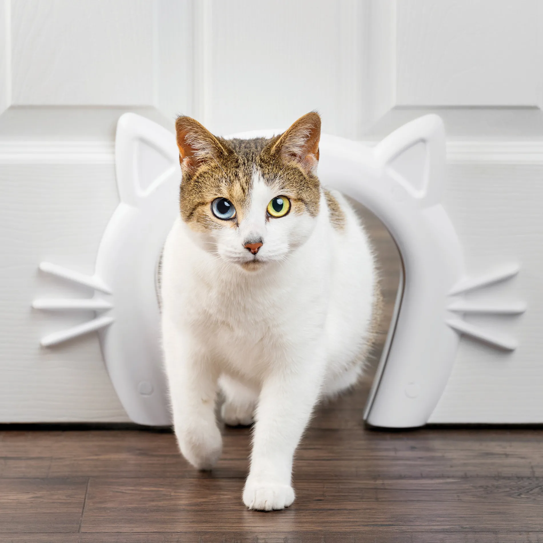 Cat Corridor™ Interior Pet Door-PetSafe Shop