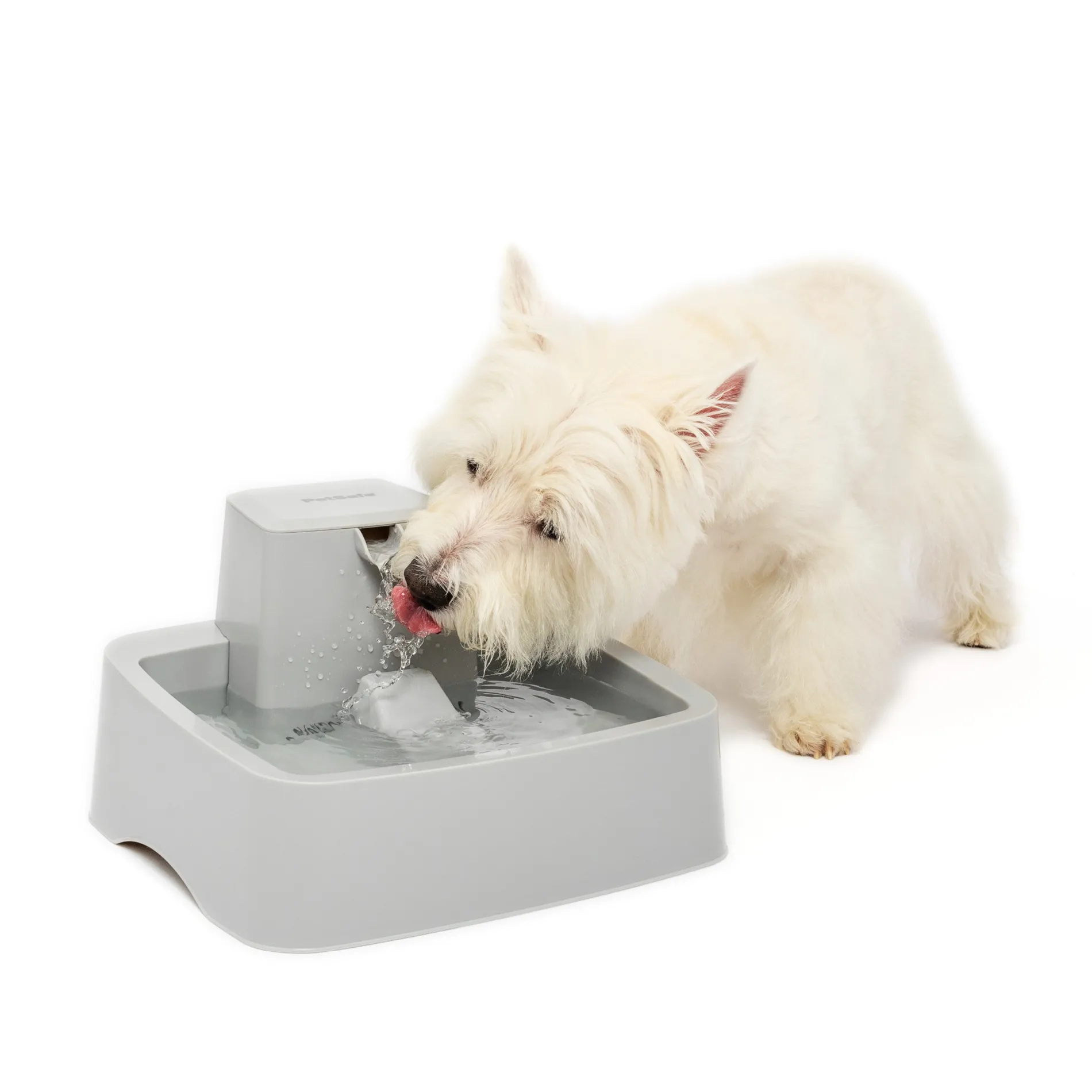 Drinkwell® 1 Gallon Pet Fountain-PetSafe Online