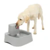 Drinkwell® 2 Gallon Pet Fountain-PetSafe Discount