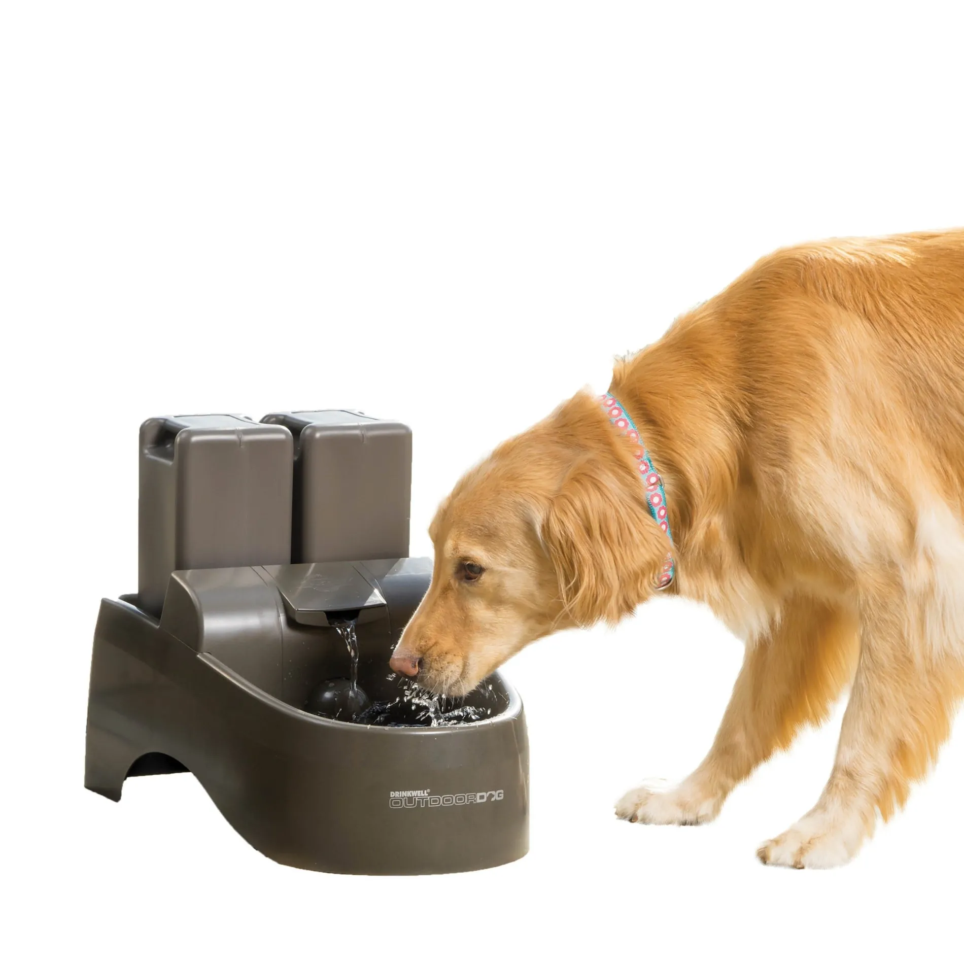 Drinkwell® Outdoor Dog Fountain-PetSafe Online