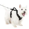 EasySport Harness-PetSafe Outlet