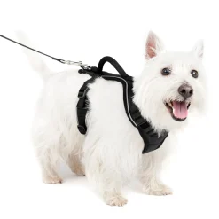 EasySport Harness-PetSafe Outlet