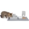 Fountain and Feeder Mat-PetSafe Shop