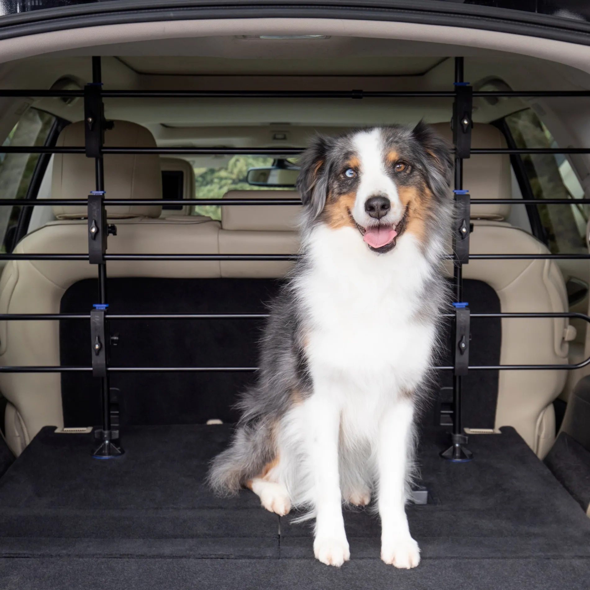 Happy Ride® Dog Barrier-PetSafe Flash Sale