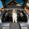 Happy Ride® Folding Dog Ramp-PetSafe Best