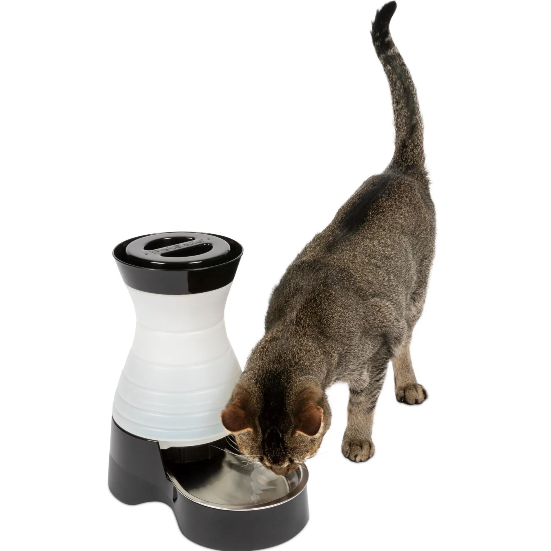 Healthy Pet Water Station™-PetSafe Online