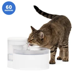 Outlast™ Cat Fountain, 60 oz-PetSafe Outlet