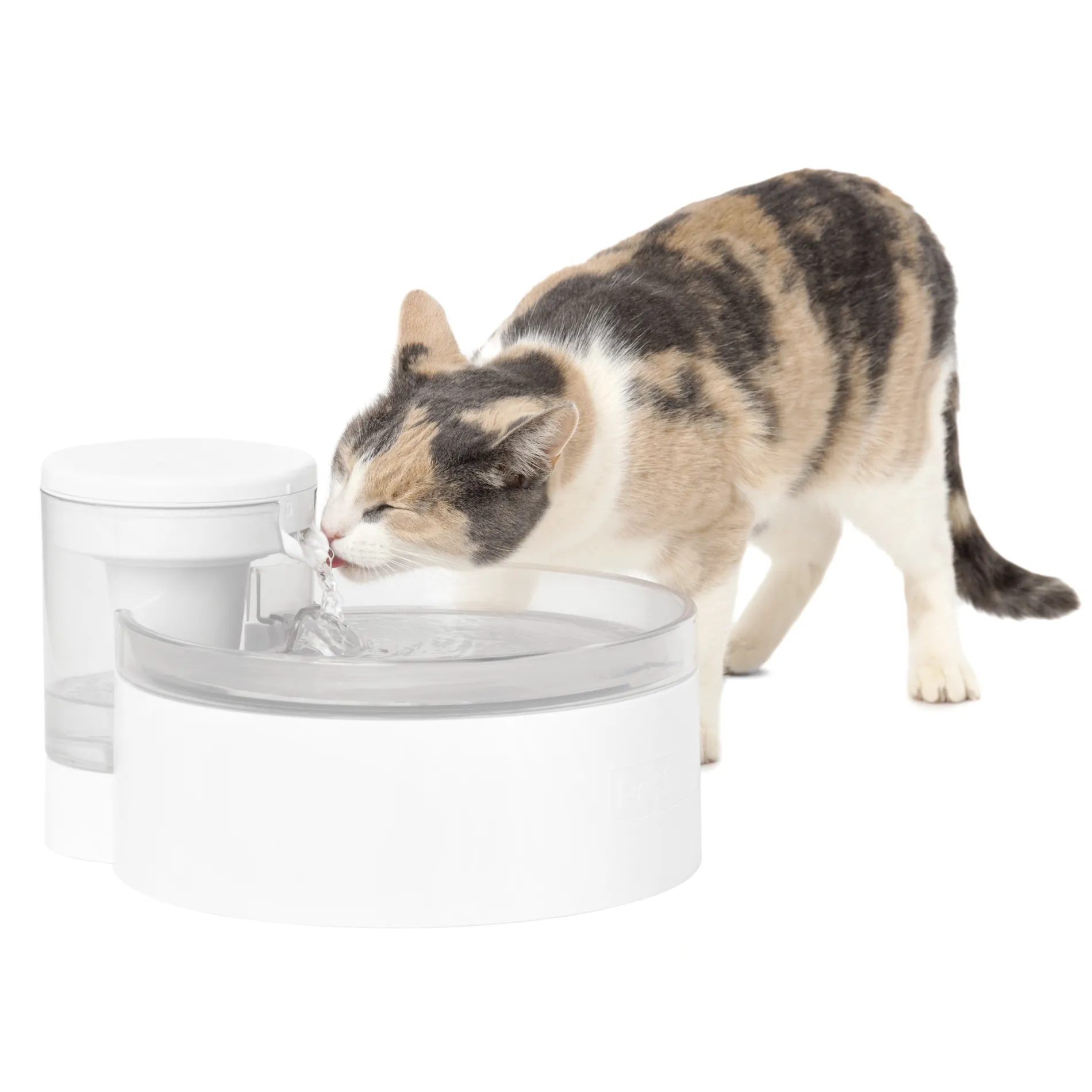 Outlast™ Cat Fountain, 90 oz-PetSafe Fashion