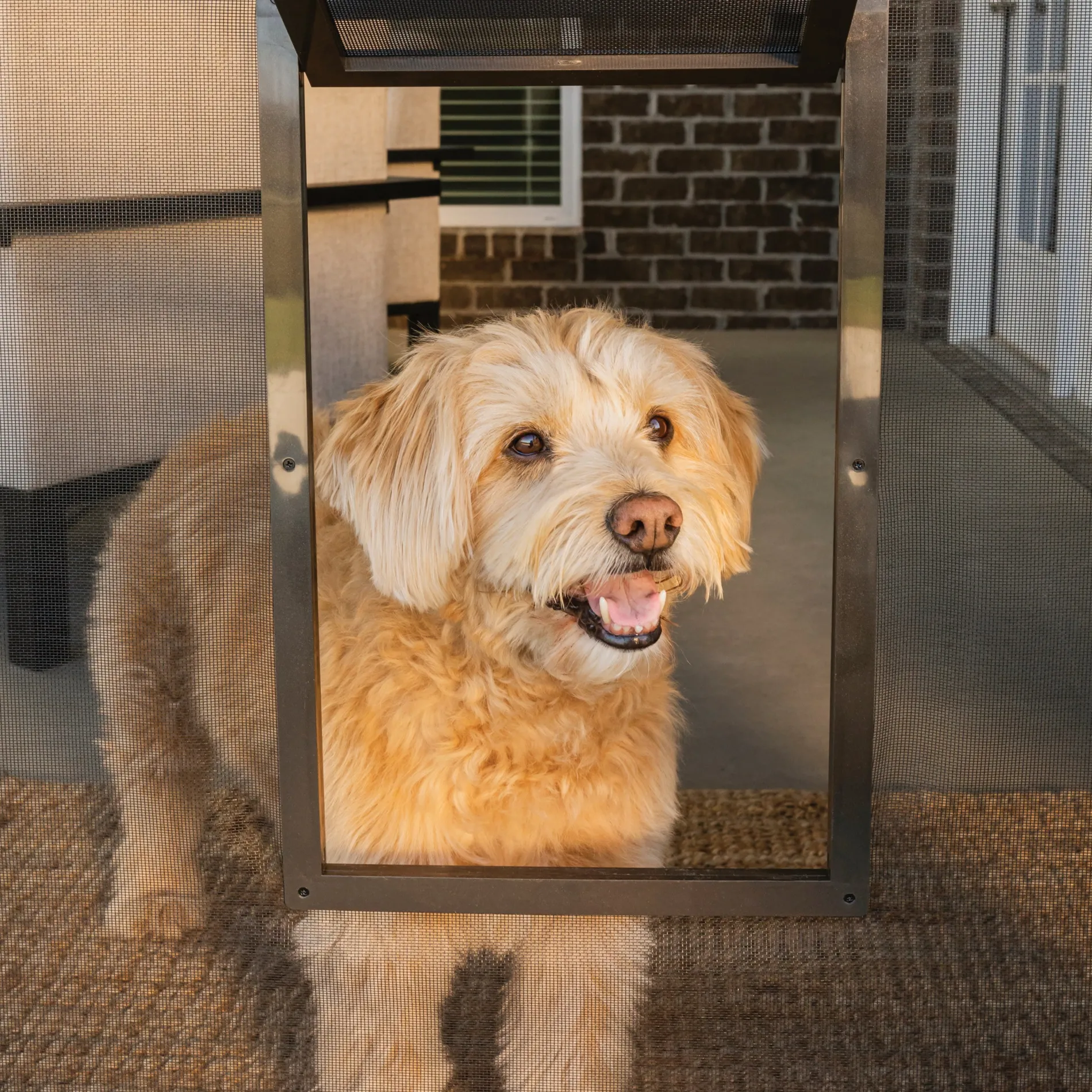 Pet Screen Door-PetSafe Cheap