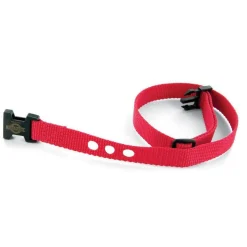 Replacement Collar Strap for Basic Bark Collar-PetSafe Store