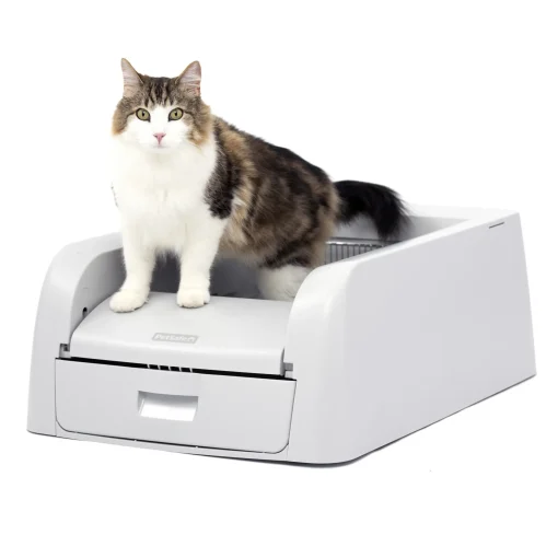 ScoopFree® Clumping Self-Cleaning Litter Box-PetSafe Cheap