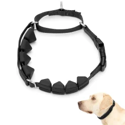 Soft Point Training Collar-PetSafe Best Sale