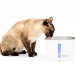 Viva™ 64 oz Stainless Steel Pet Fountain-PetSafe Outlet