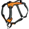 Walk-Along™ Outdoor Harness-PetSafe Best Sale