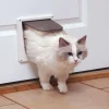 4-Way Interior Locking Cat Door-PetSafe Outlet